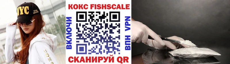 COCAIN Fish Scale  Купить где  Шлиссельбург 