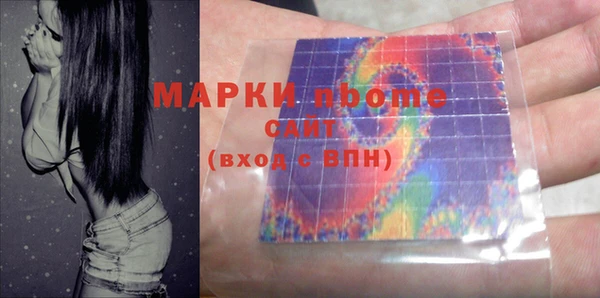 сатива Ростов