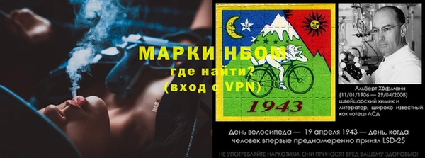 сатива Ростов